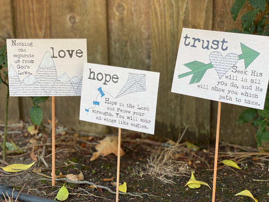 Seeds of Inspiration collection (12-pack)