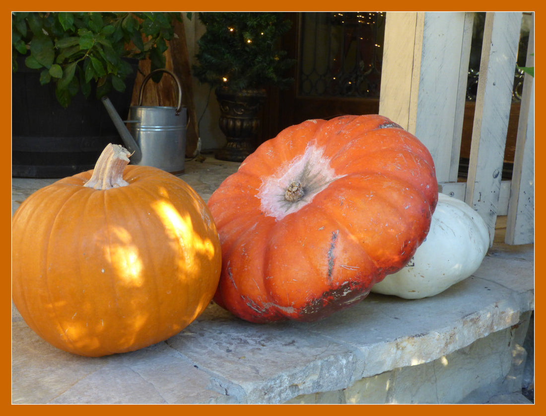 Between Beach Balls and Pumpkins