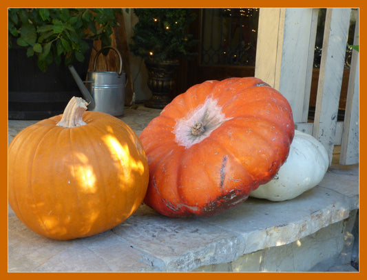 Between Beach Balls and Pumpkins