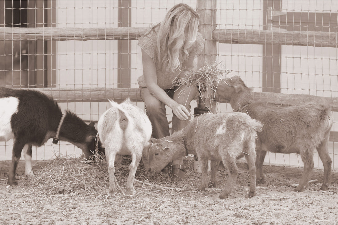 What Guarantees a Happy Life