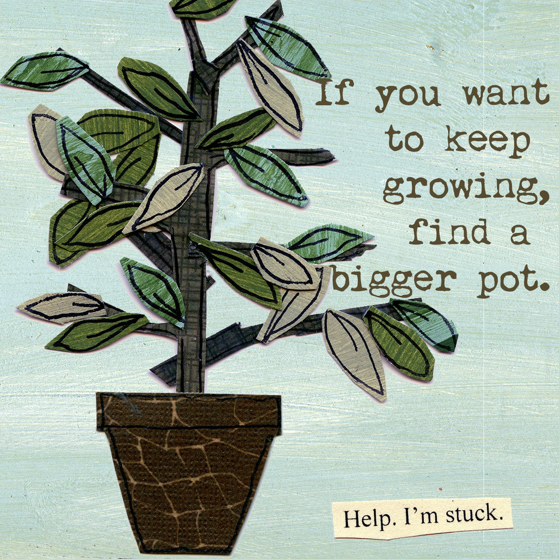 When an Indoor Plant Survives the Creative Farm Girl