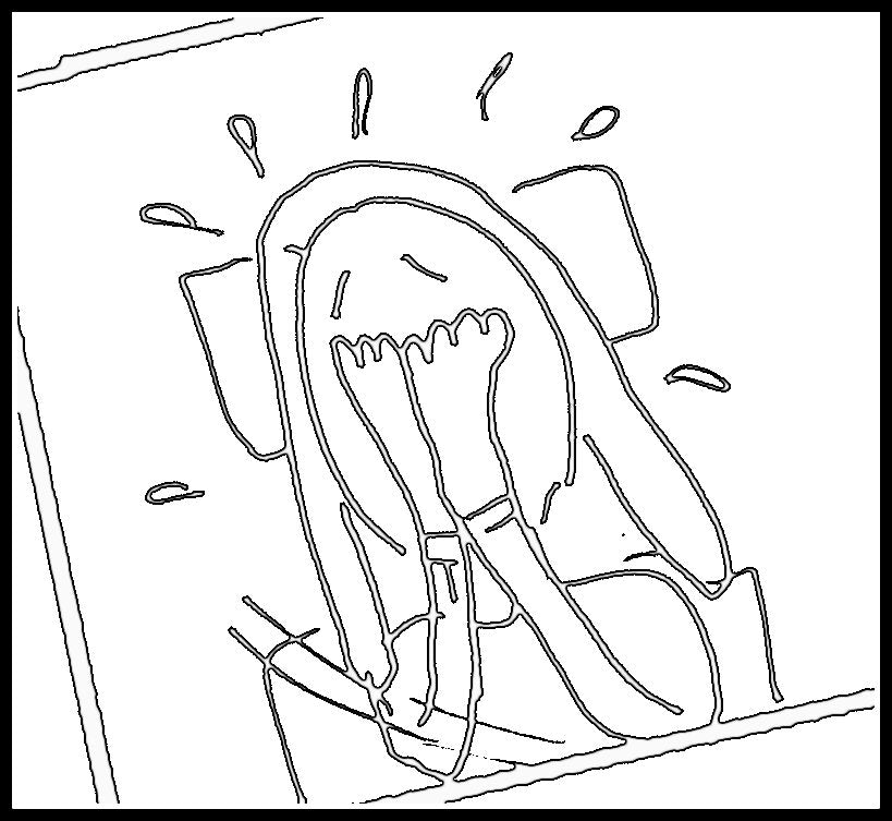 Don't Miss Out on What's in Front of You (or Behind You, if that's the Case)