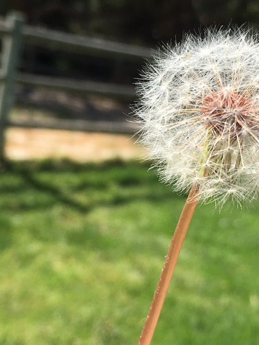 Bestest Job I Ever Had