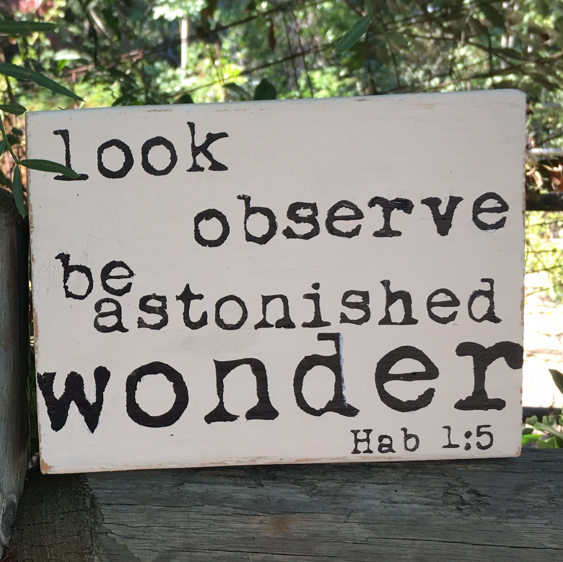 The Wonder of It All