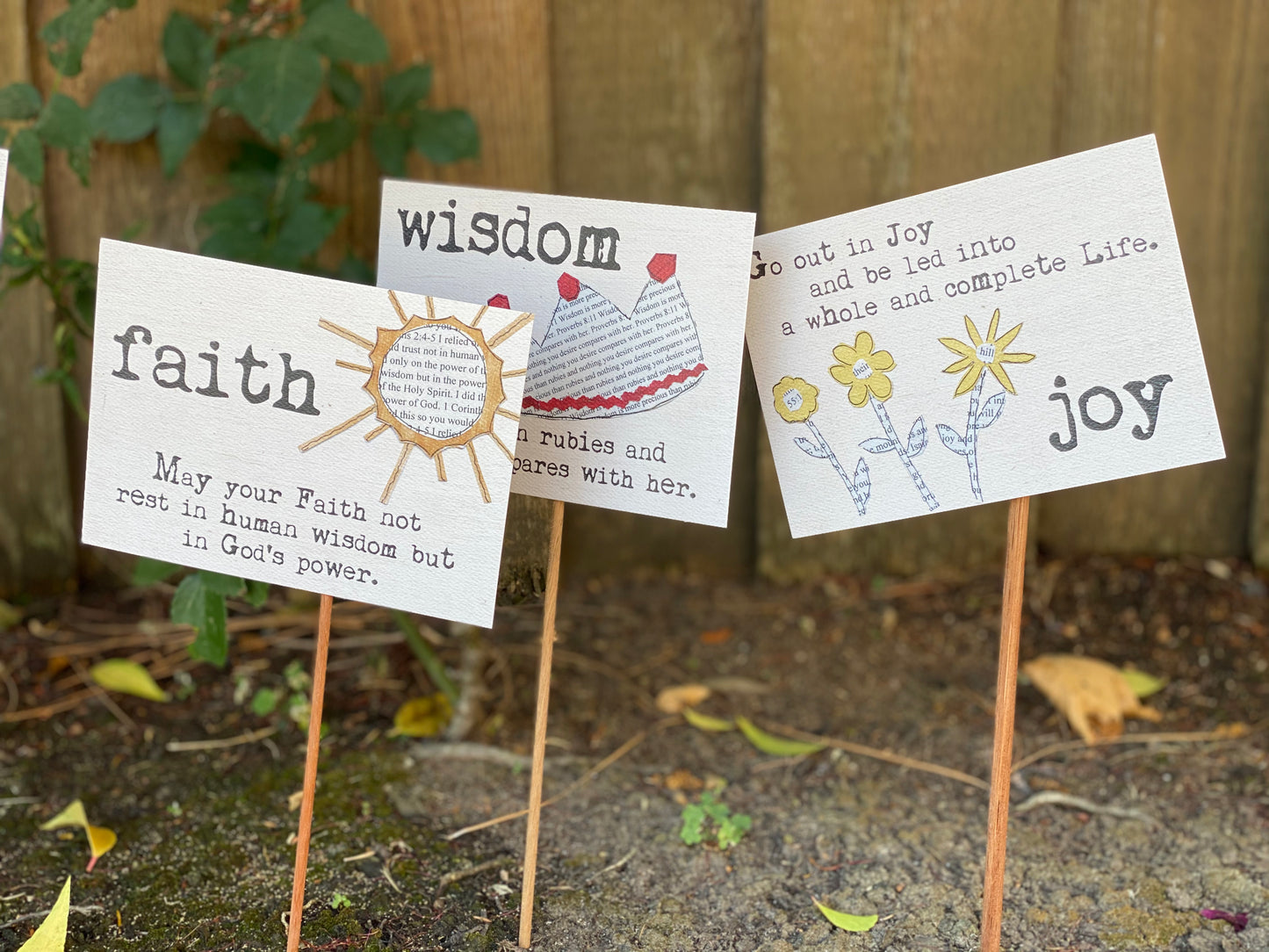 Seeds of Inspiration collection (12-pack)