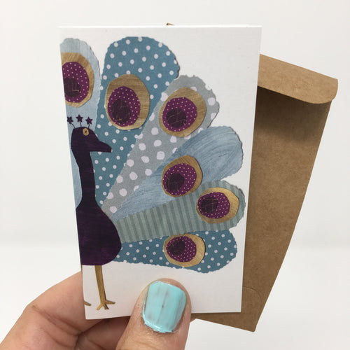 Little Peacock